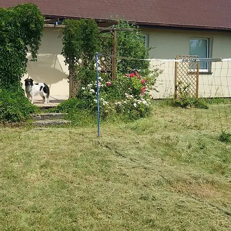 Zielone Gniazdo Lodge *