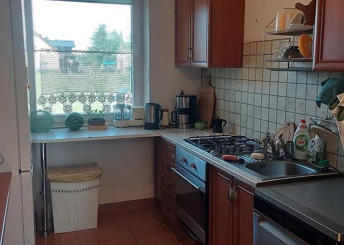 Zielone Gniazdo Деревянный коттедж *